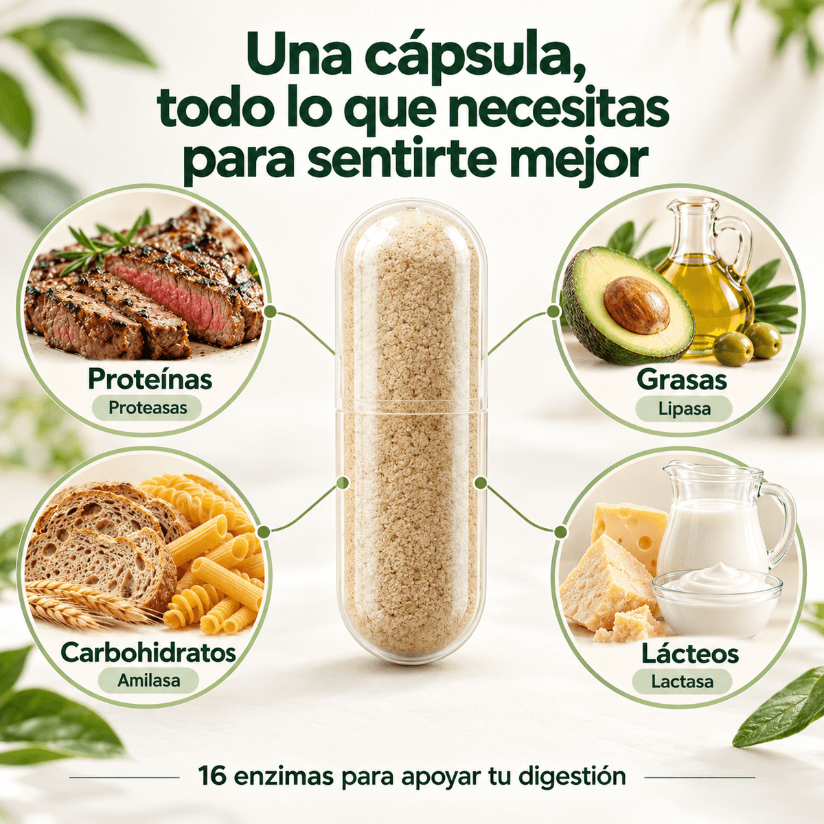 DigesVital - Apoya tu digestión💚🌿